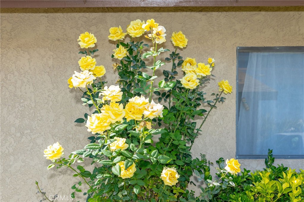 29350 Murrieta