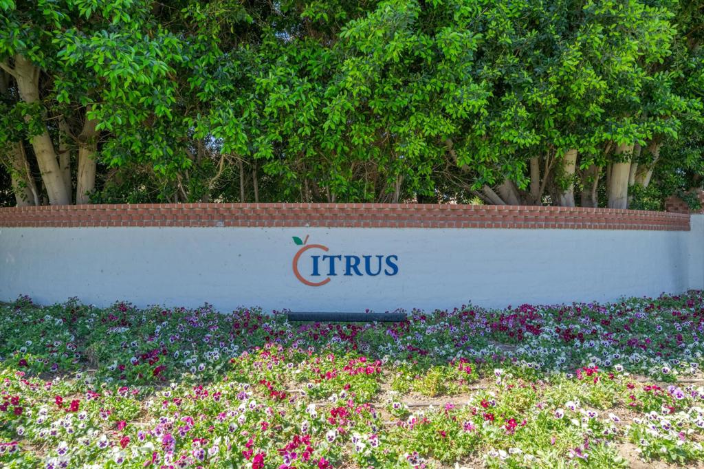The Citrus - Residential