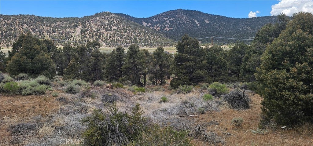 0 Baldwin Lake Road