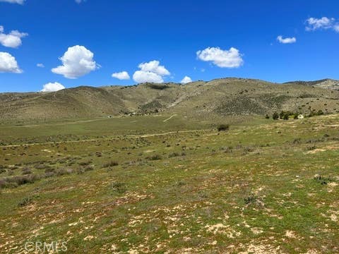 Photo of 6931 Sierra HWY, Agua Dulce, CA 91390 (MLS # SR26144462)