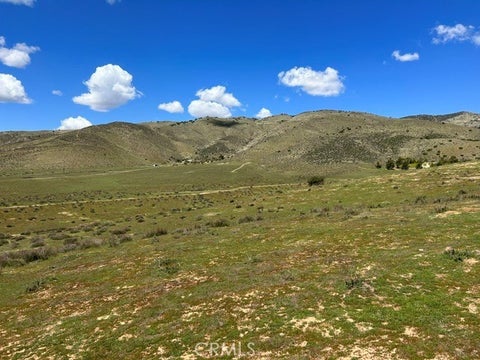Photo of 6931 Sierra HWY, Agua Dulce, CA 91390 (MLS # SR26144462)