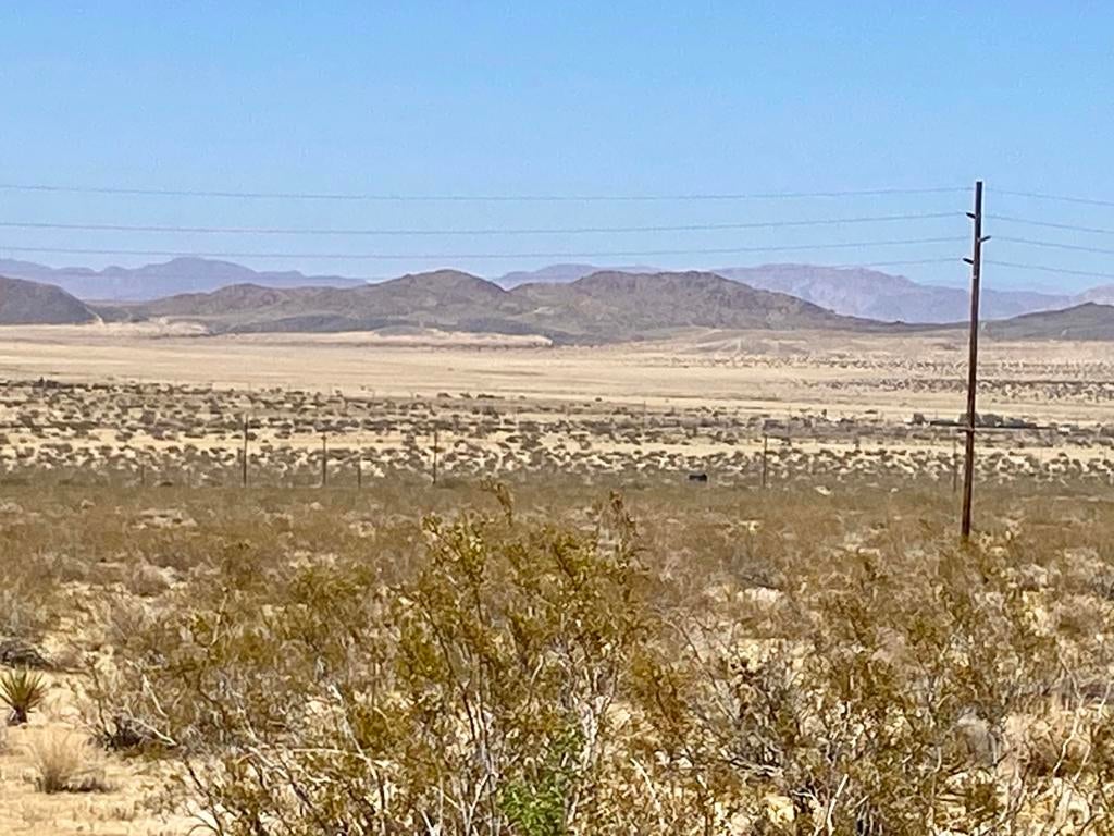 108 Twentynine Palms Highway