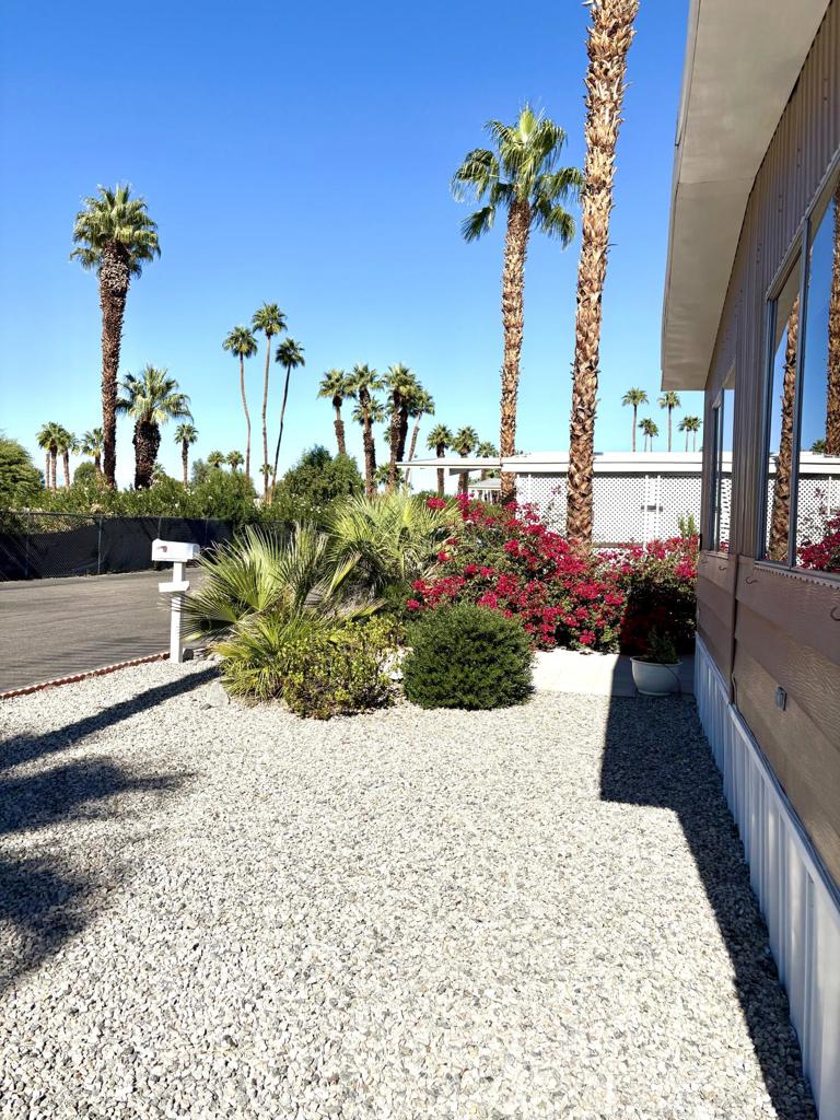 Royal Palms - Manufactured In Park