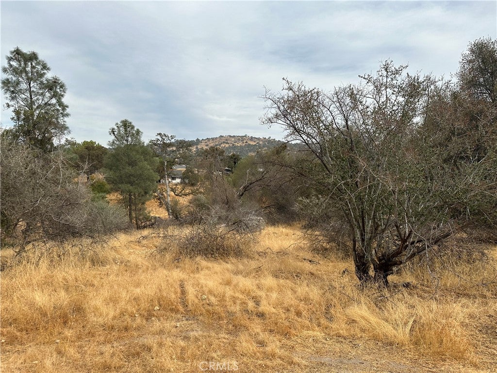 0 Lot 880 Jim Bowie Court