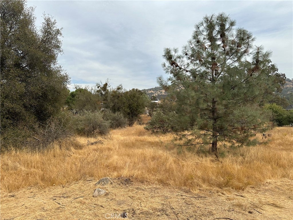 0 Lot 880 Jim Bowie Court