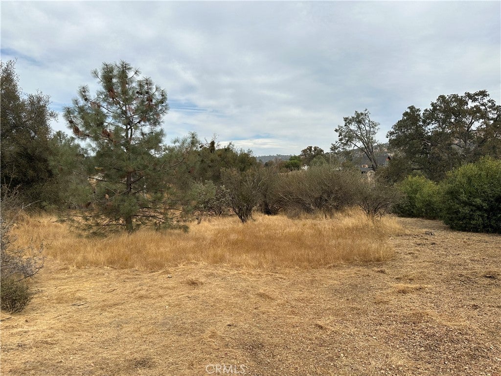 0 Lot 880 Jim Bowie Court