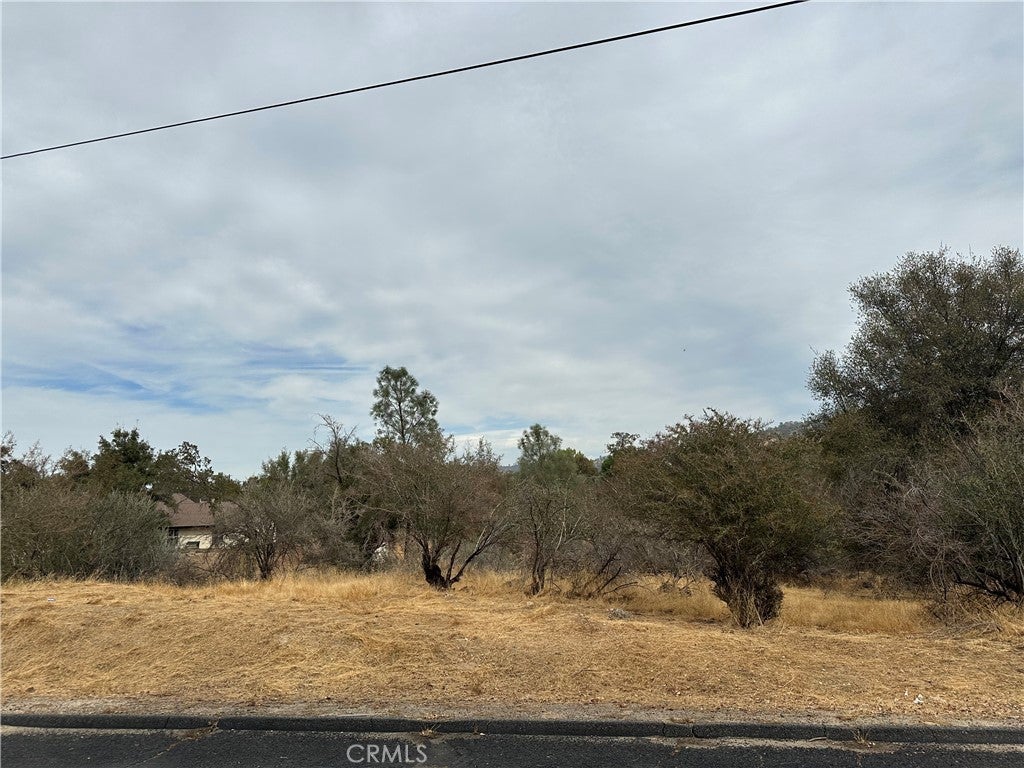 0 Lot 880 Jim Bowie Court