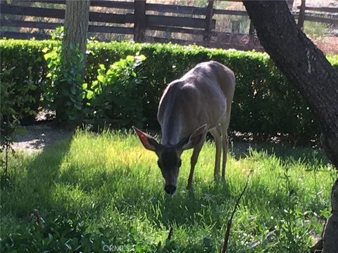 Tiny photo for 0 Nickel Creek Road, San Miguel, CA 93451 (MLS # NS25280693)