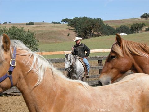 Tiny photo for 0 Nickel Creek Road, San Miguel, CA 93451 (MLS # NS25280693)