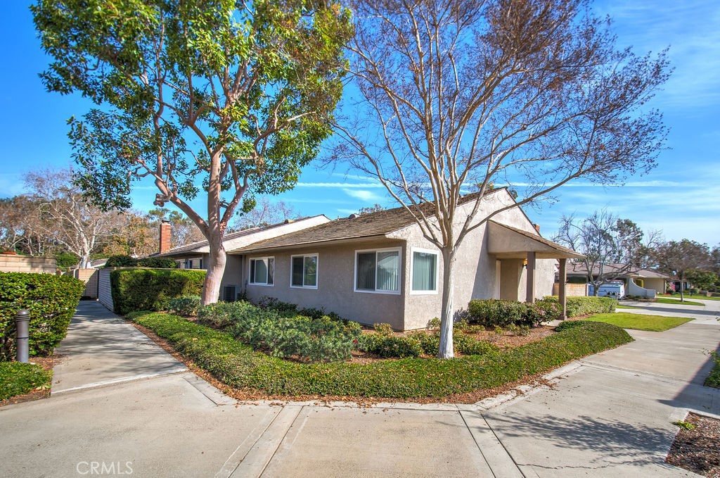 17275 Candleberry