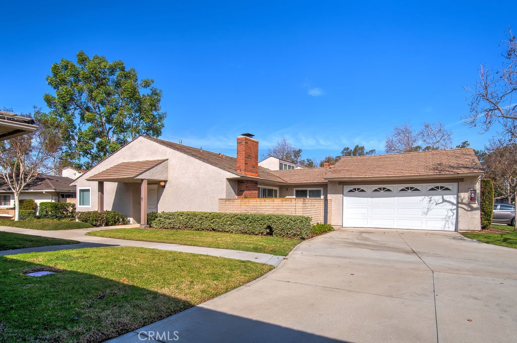 17275 Candleberry
