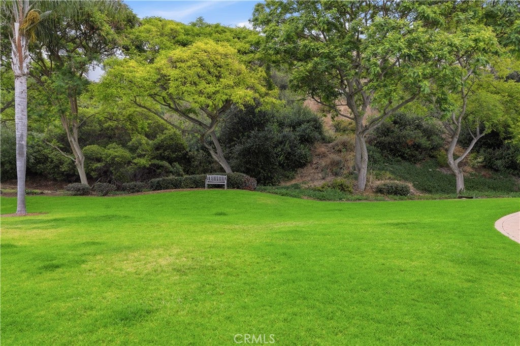 15 Vista Encanta 15, San Clemente CA 92672 - Photo 50