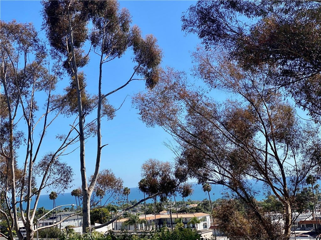 15 Vista Encanta 15, San Clemente CA 92672 - Photo 54