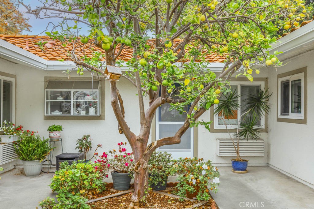 2024 Via Mariposa W. B