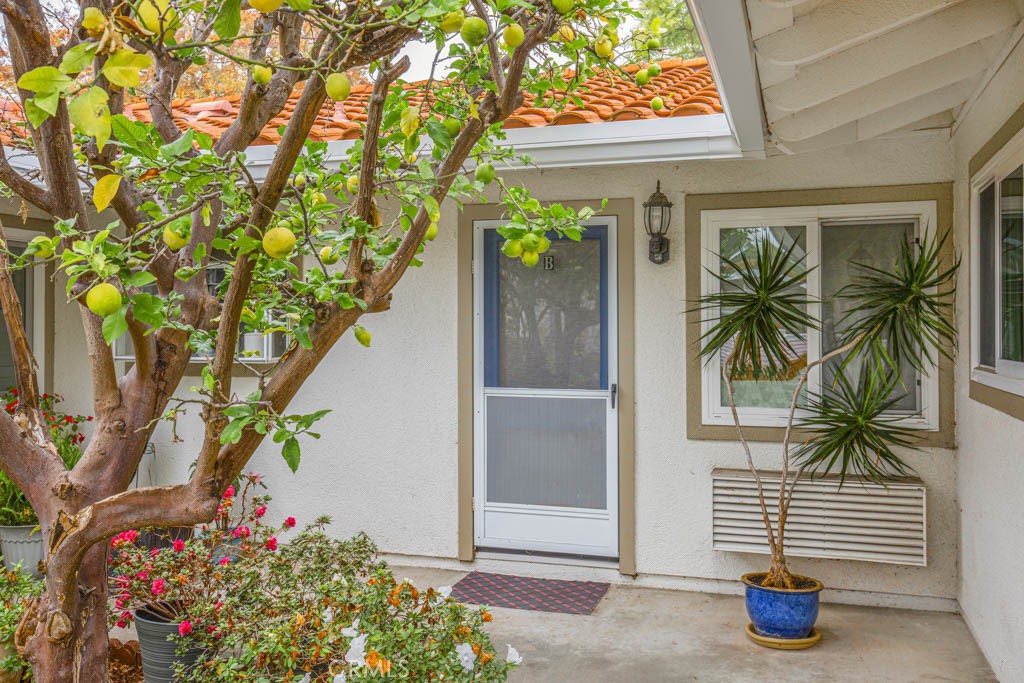 2024 Via Mariposa W. B