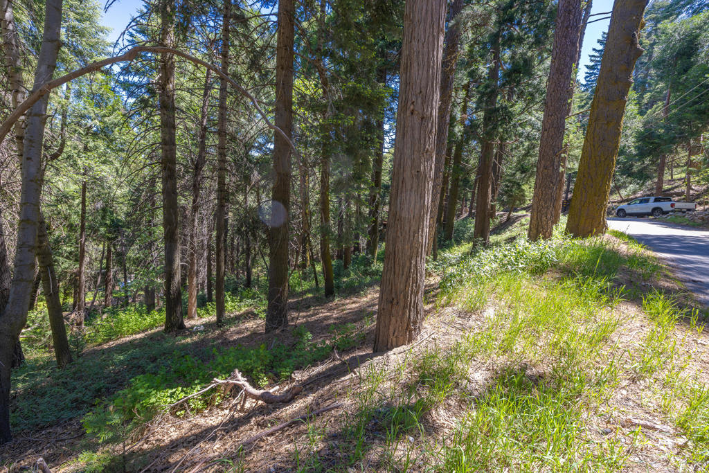 Lot 78 Cedar Pines Drive