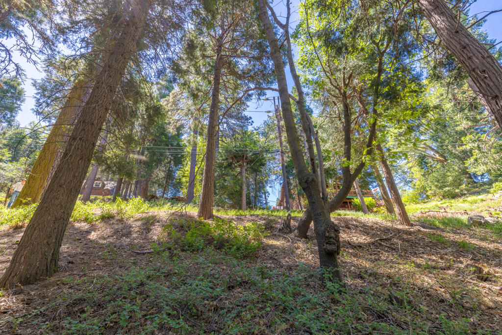 Lot 78 Cedar Pines Drive