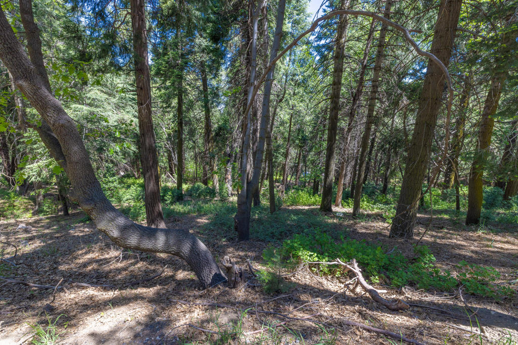 Lot 78 Cedar Pines Drive