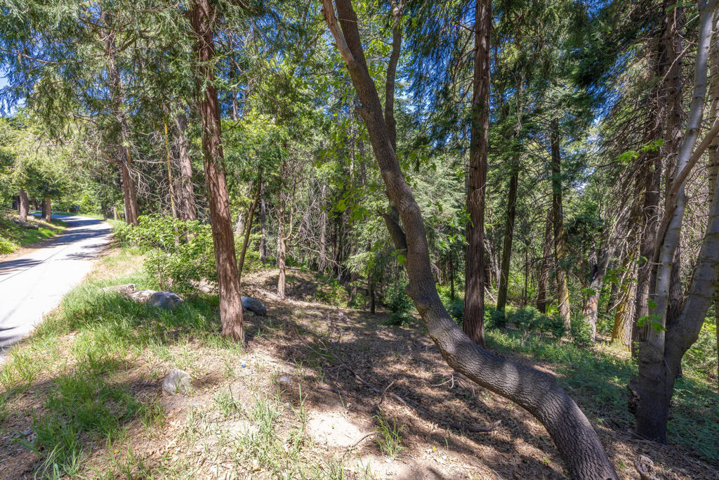 Lot 78 Cedar Pines Drive