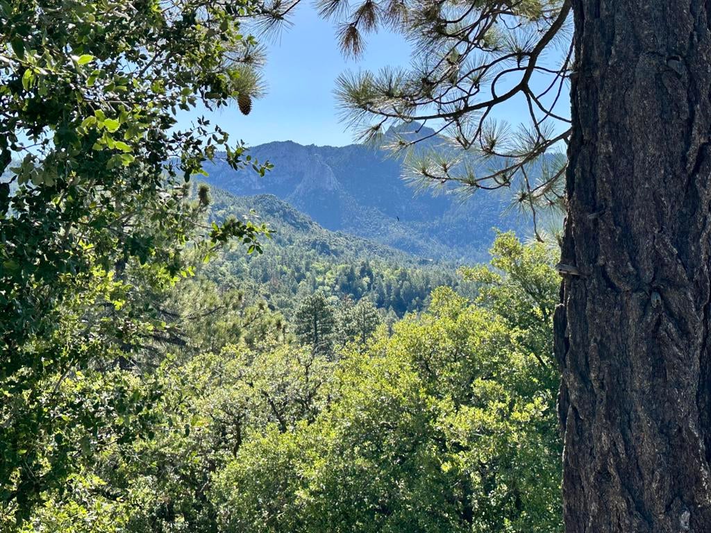 0 Mountain View Drive