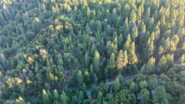 FIR ST, CEDARPINES PARK, CA 92322 - Image e5a4eb50ec117fb8daa1420e4fddaaa9/787279643