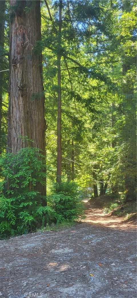 Photo of 0 Palm Cutof, Boulder Creek, CA 95006 (MLS # OC26147107)