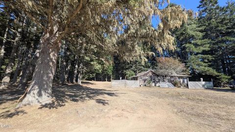 2901 Albion Ridge B Road Albion CA 95410