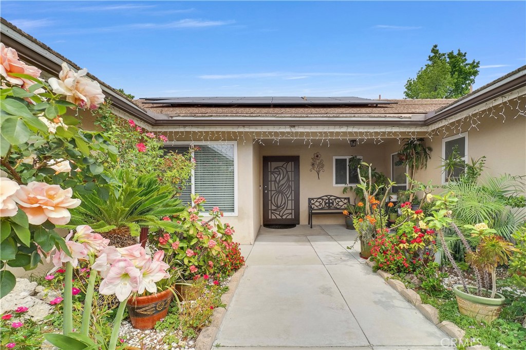 6019 Magnolia