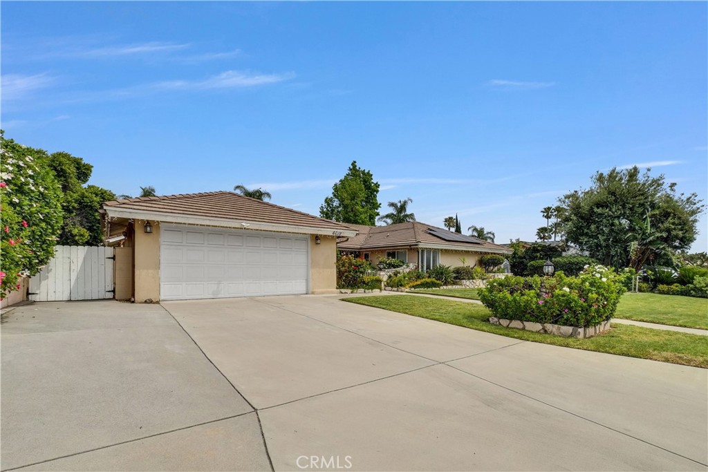 6019 Magnolia