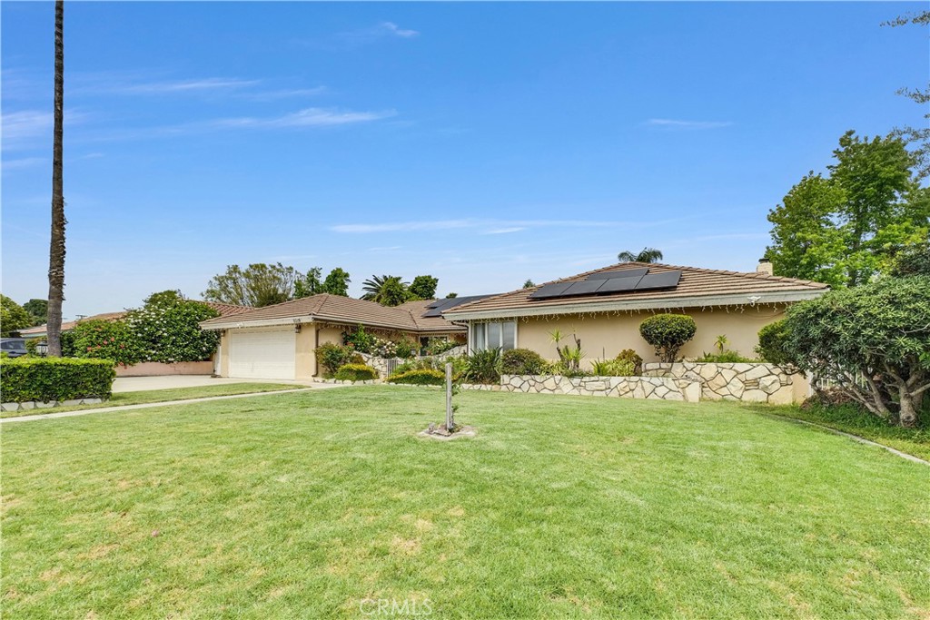 6019 Magnolia
