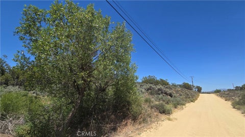 Photo of 38375 Indian Road, Anza, CA 92539 (MLS # SW26141451)