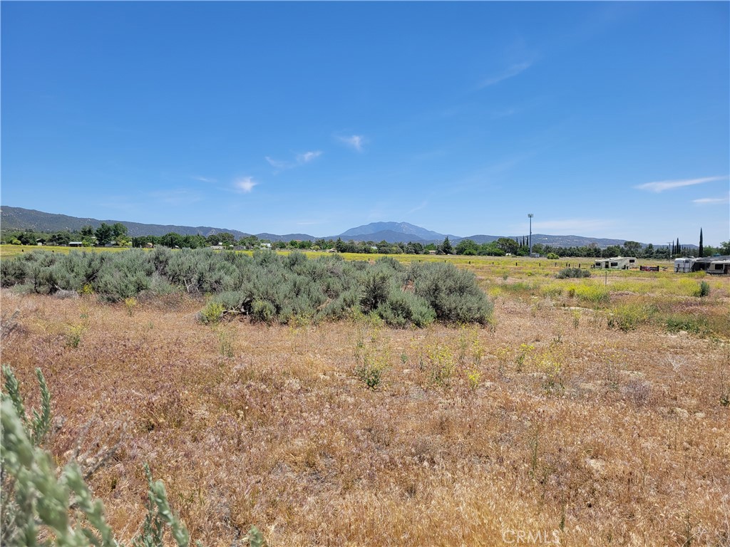 49 Bonita Vista