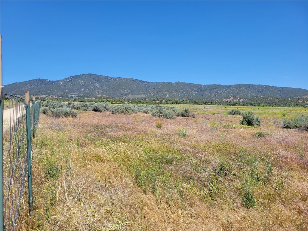 49 Bonita Vista