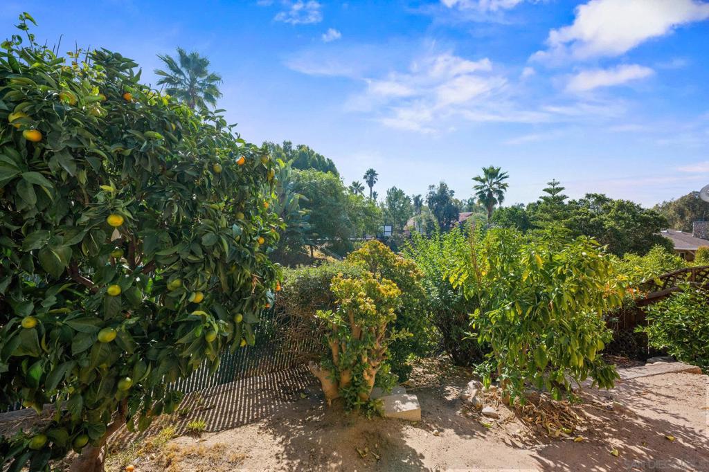 La Mesa - Residential