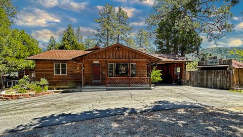 Photo of 26748 Mcmahan Rd, Idyllwild, CA 92549 (MLS # 219138916DA)