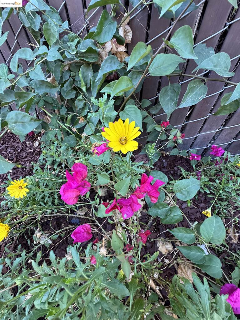 WEST OAKLAND - Residential