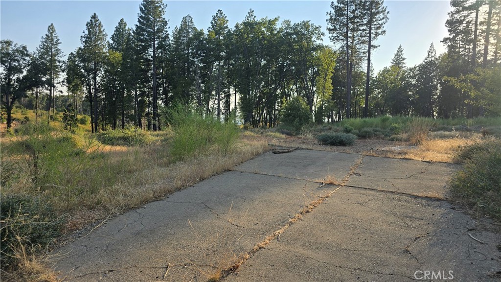 This spacious lot offers a level building site with an existing driveway already in place, making it easier to start your building plans. The property is surrounded by tall pines and natural landscape, giving you the serene mountain feel while still being close to nearby amenities. With utilities available, this lot is an excellent choice for anyone looking to build their dream home, vacation retreat, or investment property. Enjoy the peaceful setting, starry nights, and all that the Ridge has to offer—fishing, hiking, lakes, and a welcoming community. Whether you’re ready to build now or secure land for the future, this Magalia property is full of potential. Don’t miss your chance to own a piece of paradise!