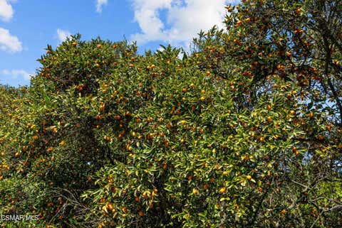 Tiny photo for 5682 Pine Grove Road, Santa Paula, CA 93060 (MLS # 226002841)