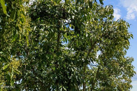 Tiny photo for 5682 Pine Grove Road, Santa Paula, CA 93060 (MLS # 226002841)