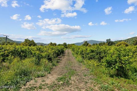Tiny photo for 5682 Pine Grove Road, Santa Paula, CA 93060 (MLS # 226002841)