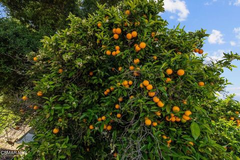 Tiny photo for 5682 Pine Grove Road, Santa Paula, CA 93060 (MLS # 226002841)