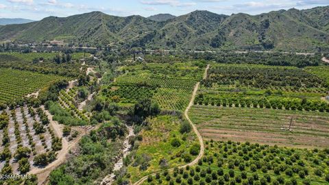 Tiny photo for 5682 Pine Grove Road, Santa Paula, CA 93060 (MLS # 226002841)