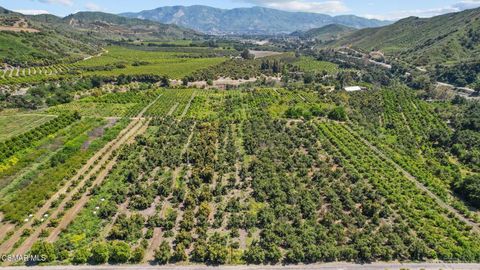 Tiny photo for 5682 Pine Grove Road, Santa Paula, CA 93060 (MLS # 226002841)