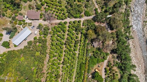 Tiny photo for 5682 Pine Grove Road, Santa Paula, CA 93060 (MLS # 226002841)
