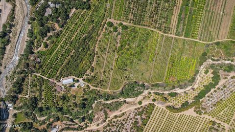 Tiny photo for 5682 Pine Grove Road, Santa Paula, CA 93060 (MLS # 226002841)