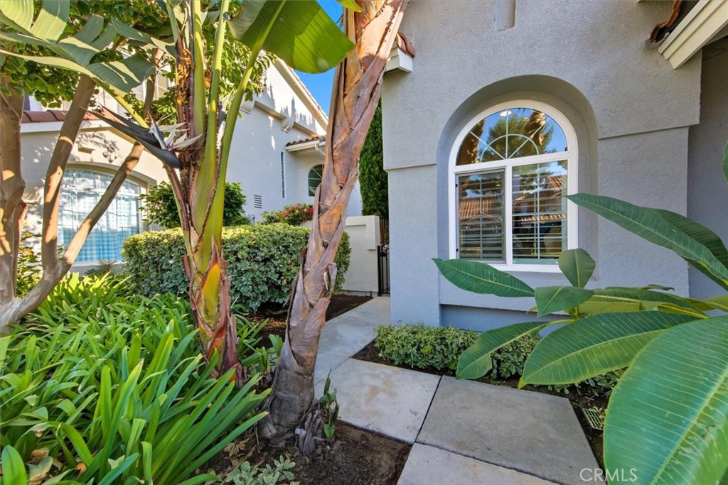 24 Bluebird Lane