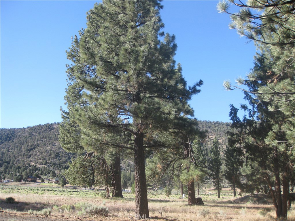 2824 Erwin Ranch Road