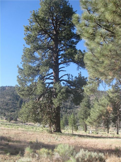 2824 Erwin Ranch Road Big Bear City CA 92314