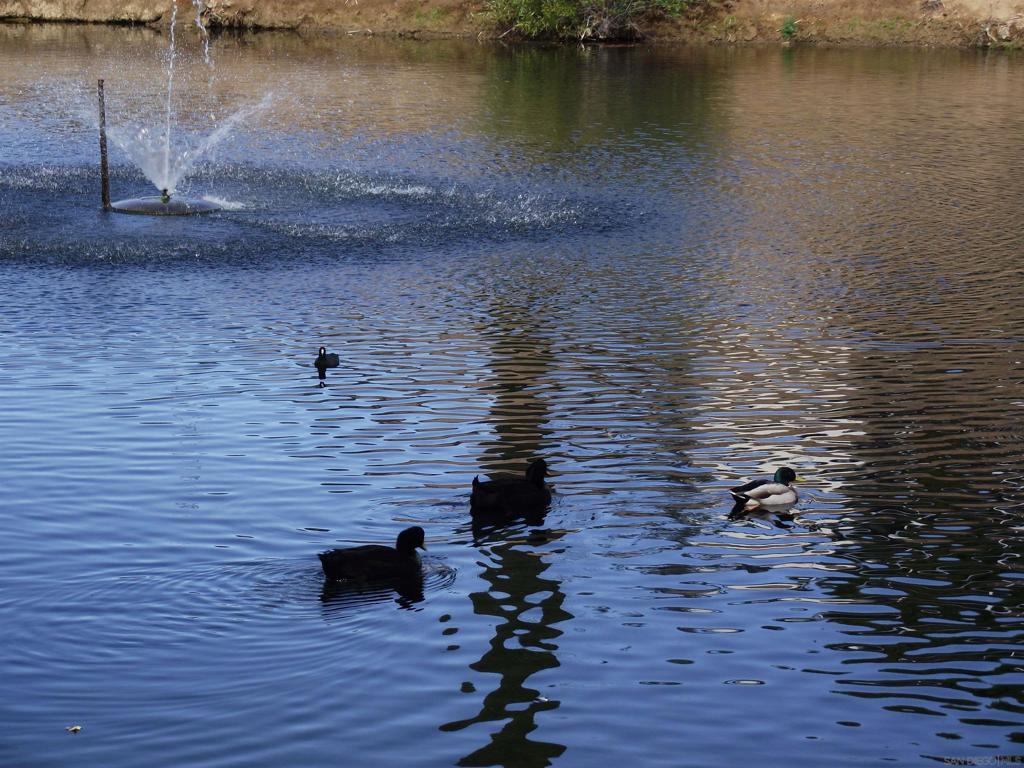 Warner Springs - Residential