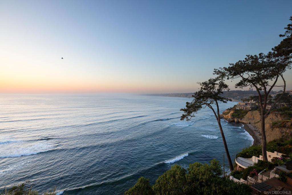 1624 Torrey Pines Rd
